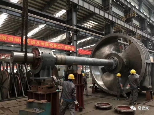 大大大大大泵, 能做到多大